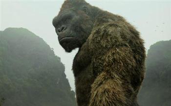 Kong: Skull Island kiếm được gần 143 triệu đôla sau 2 ngày ra rạp