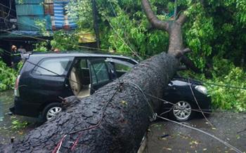 Hàng loạt ôtô bị đè bẹp vì bão ở Hà Nội